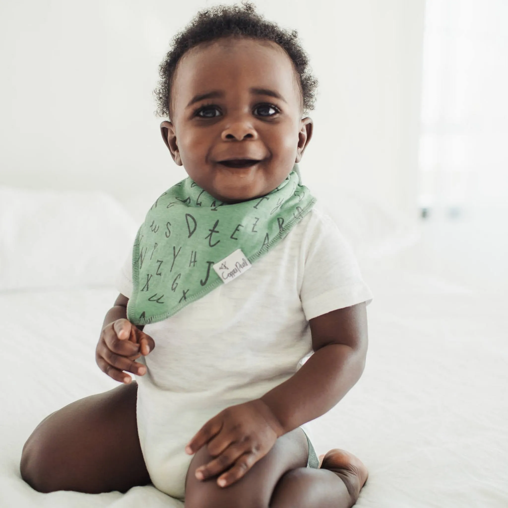 Baby Bandana Bibs - Chip