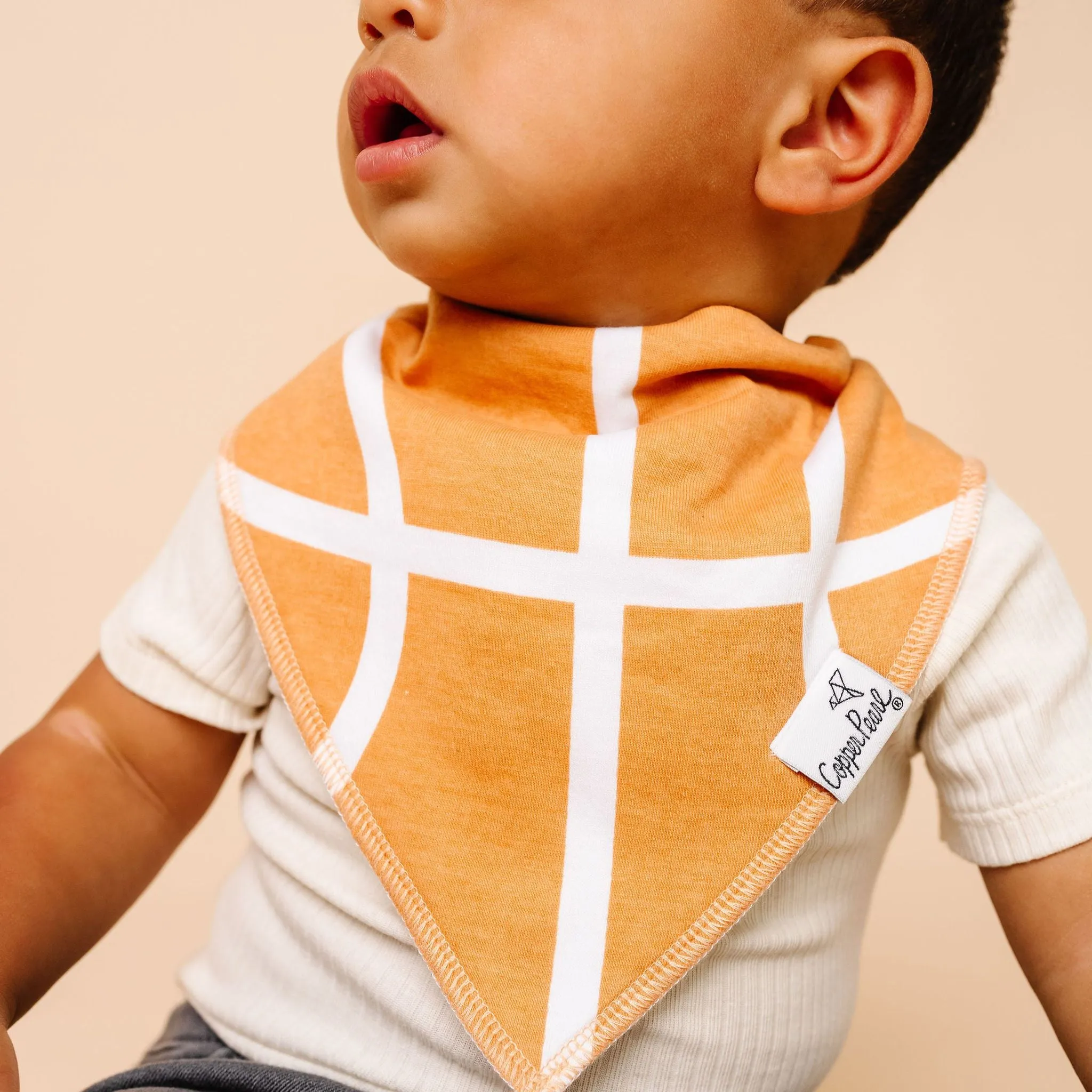 Baby Bandana Bibs - Dunk