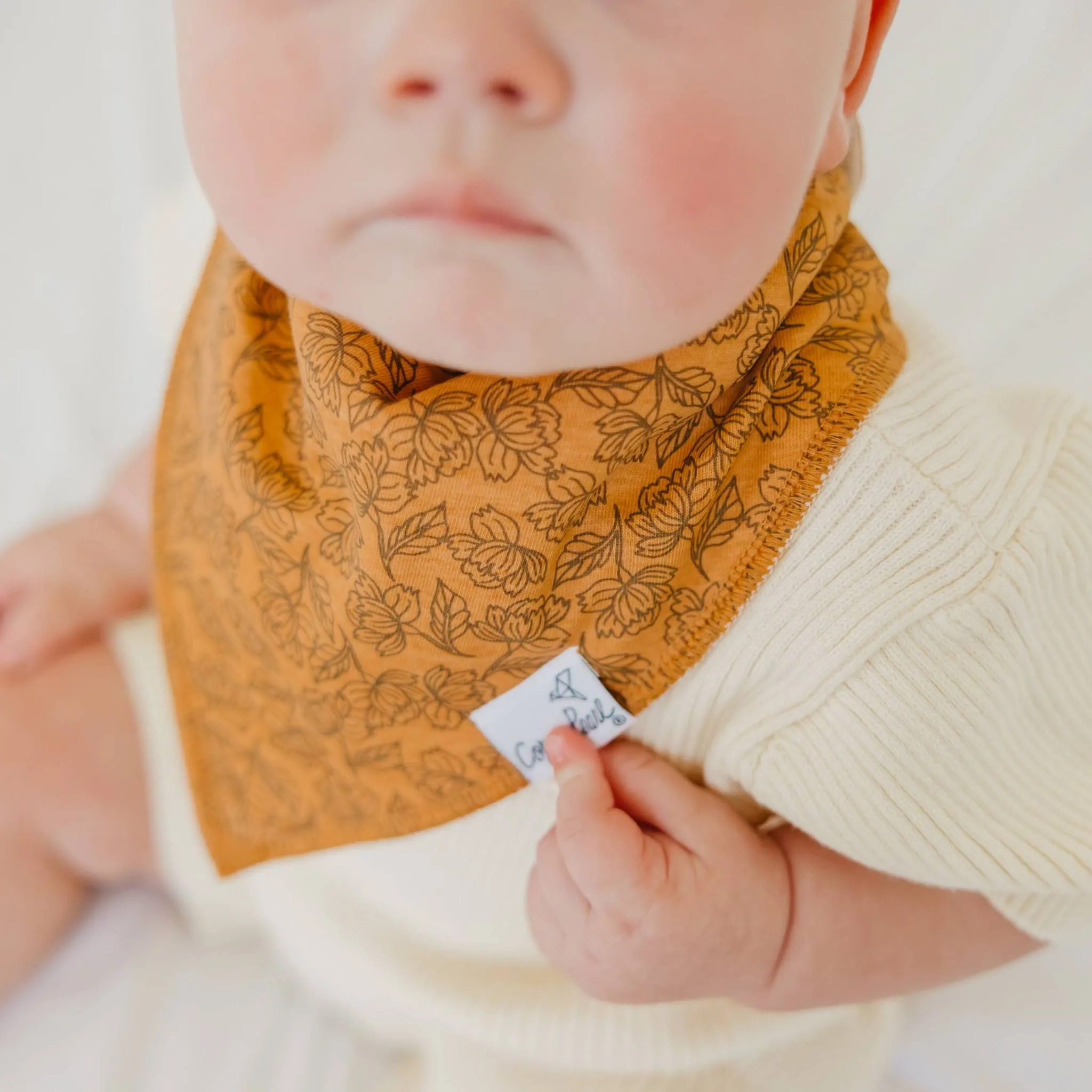 Baby Bandana Bibs - Eden