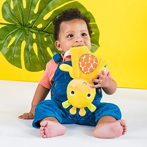 Bright Starts Snuggle & Teethe Plush Teether Toy - Giraffe, Ages Newborn  