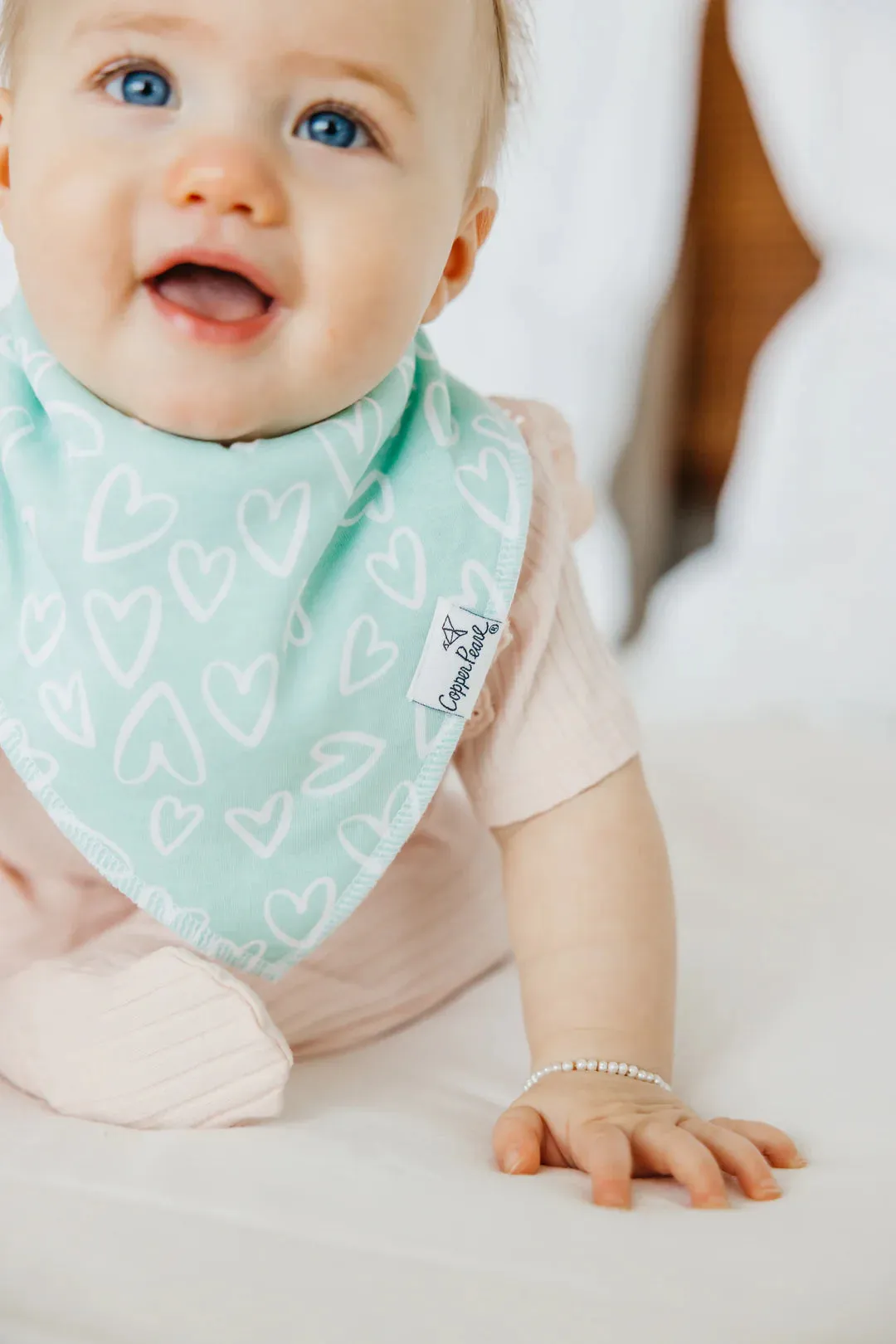 Cheery Bandana Bib Set