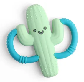 Chew Crew | Cactus