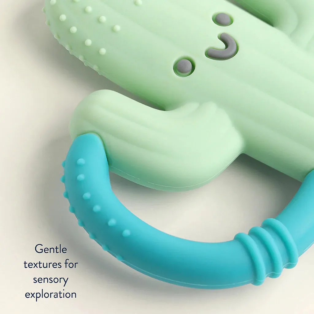 Chew Crew | Cactus
