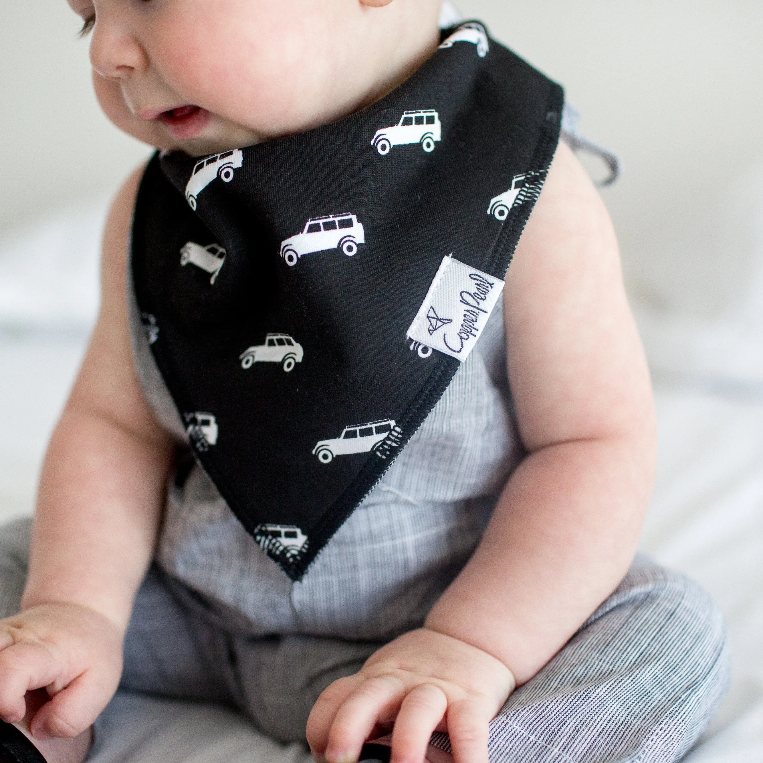 Copper Pearl Baby Bandana Bibs | Safari