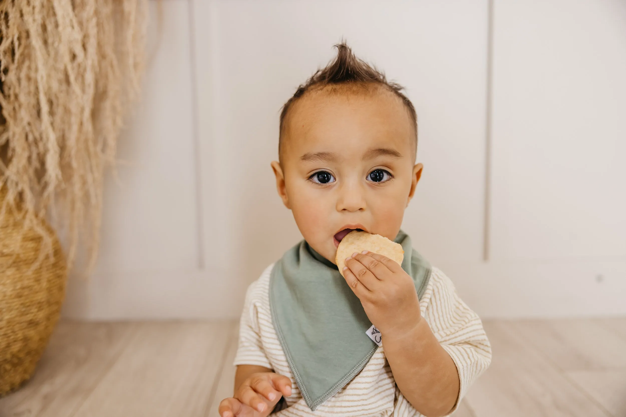 Copper Pearl - Bandana Bib (4 pack) - Haven