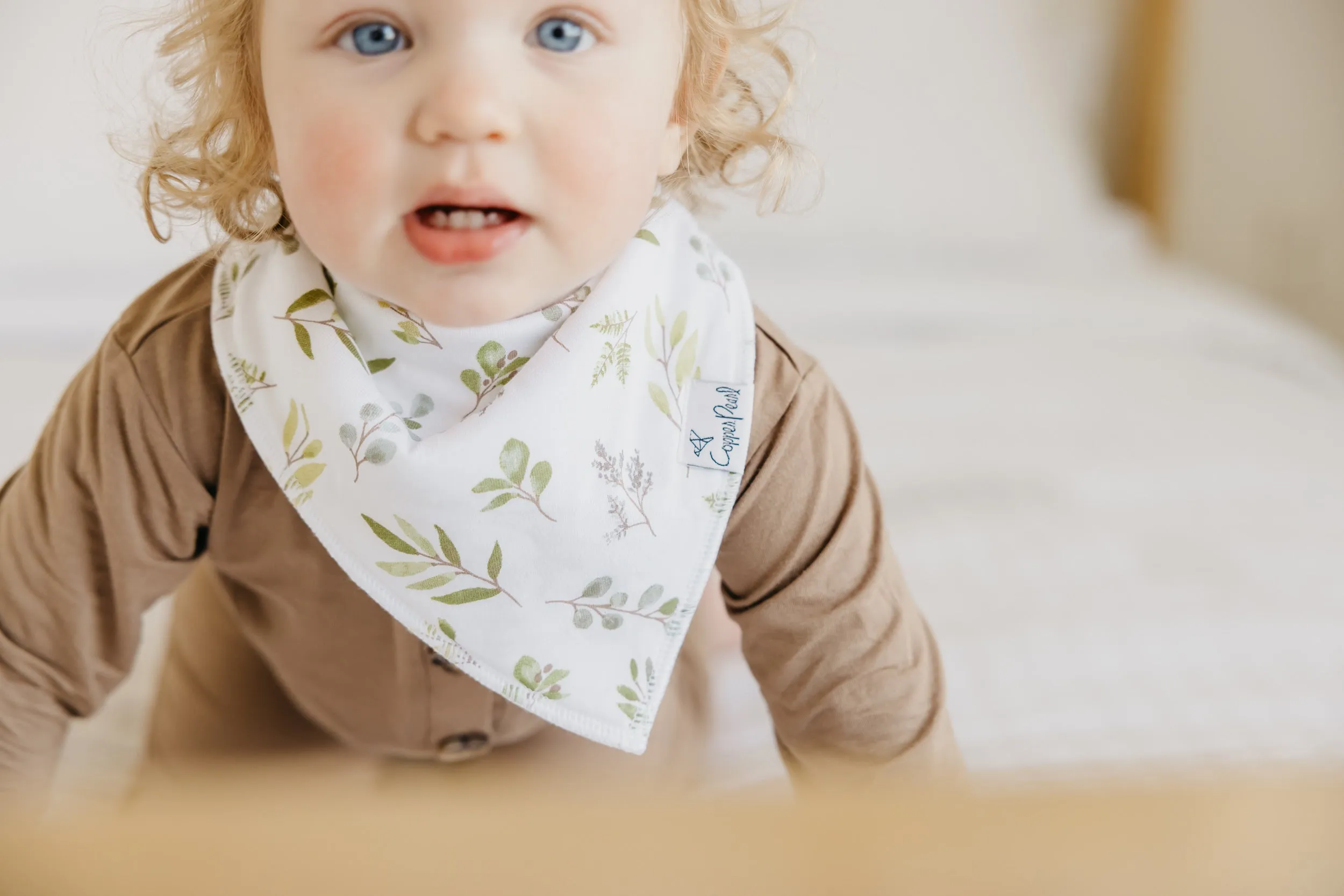 Copper Pearl - Bandana Bib (4 pack) - Haven