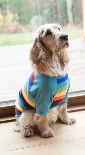 Dog Striped Pajamas- Boy