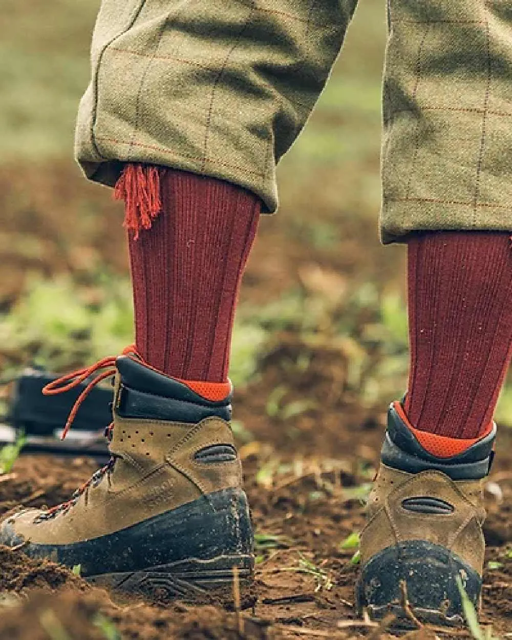 Jack Pyke Plain Shooting Socks