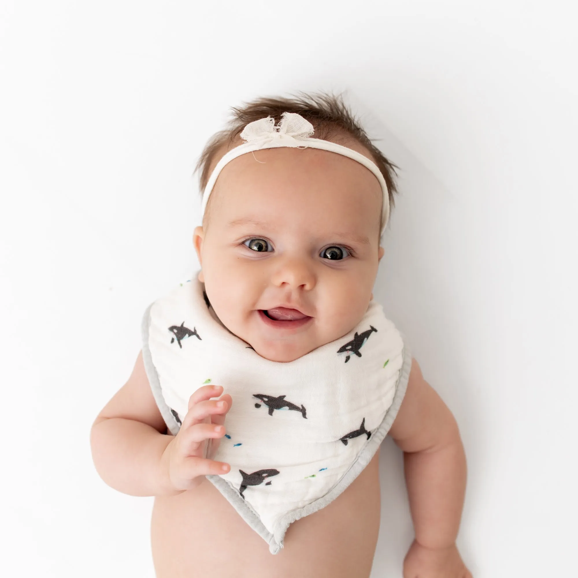 Orca & Blue Dash Bib Set