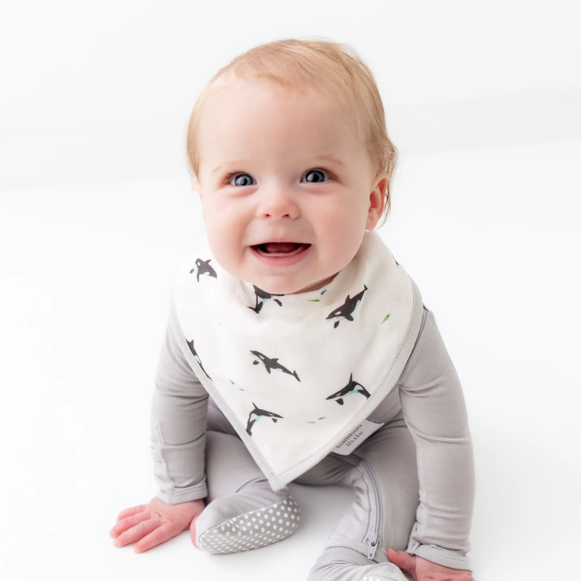 Orca & Blue Dash Bib Set