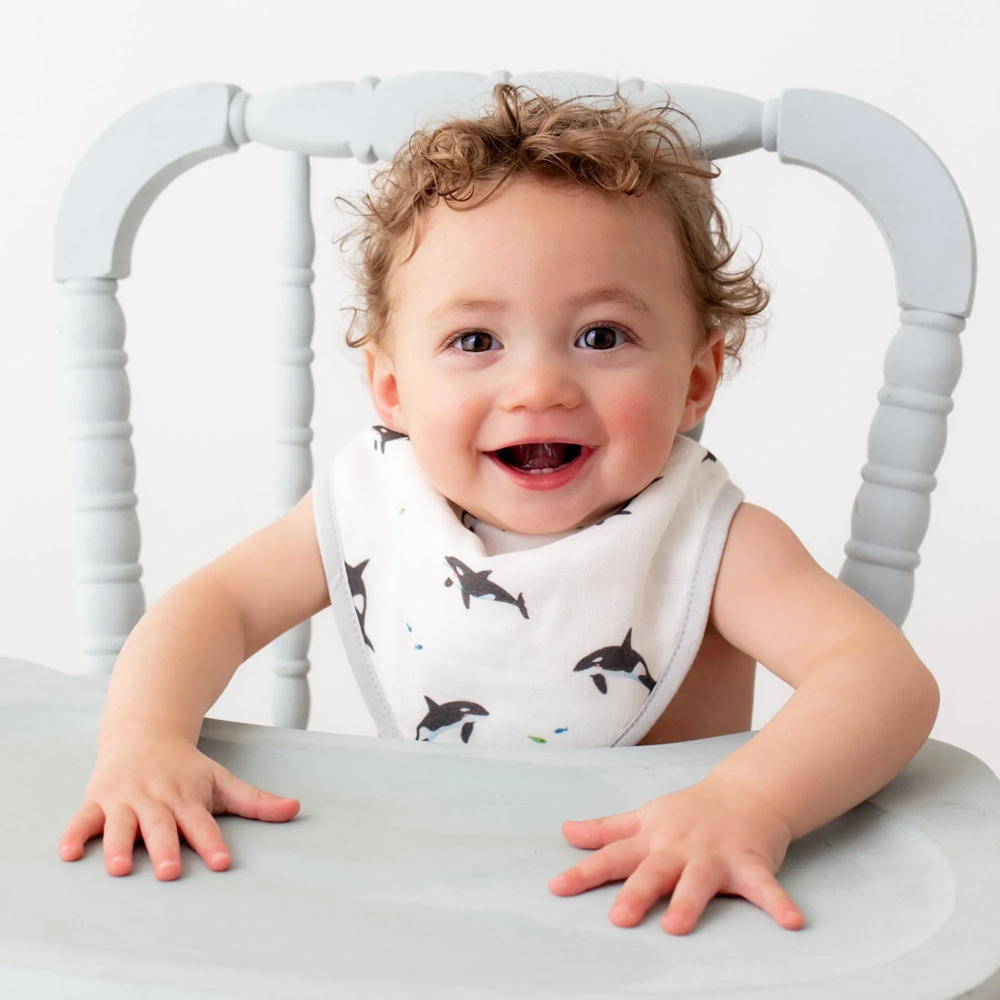 Orca & Blue Dash Bib Set