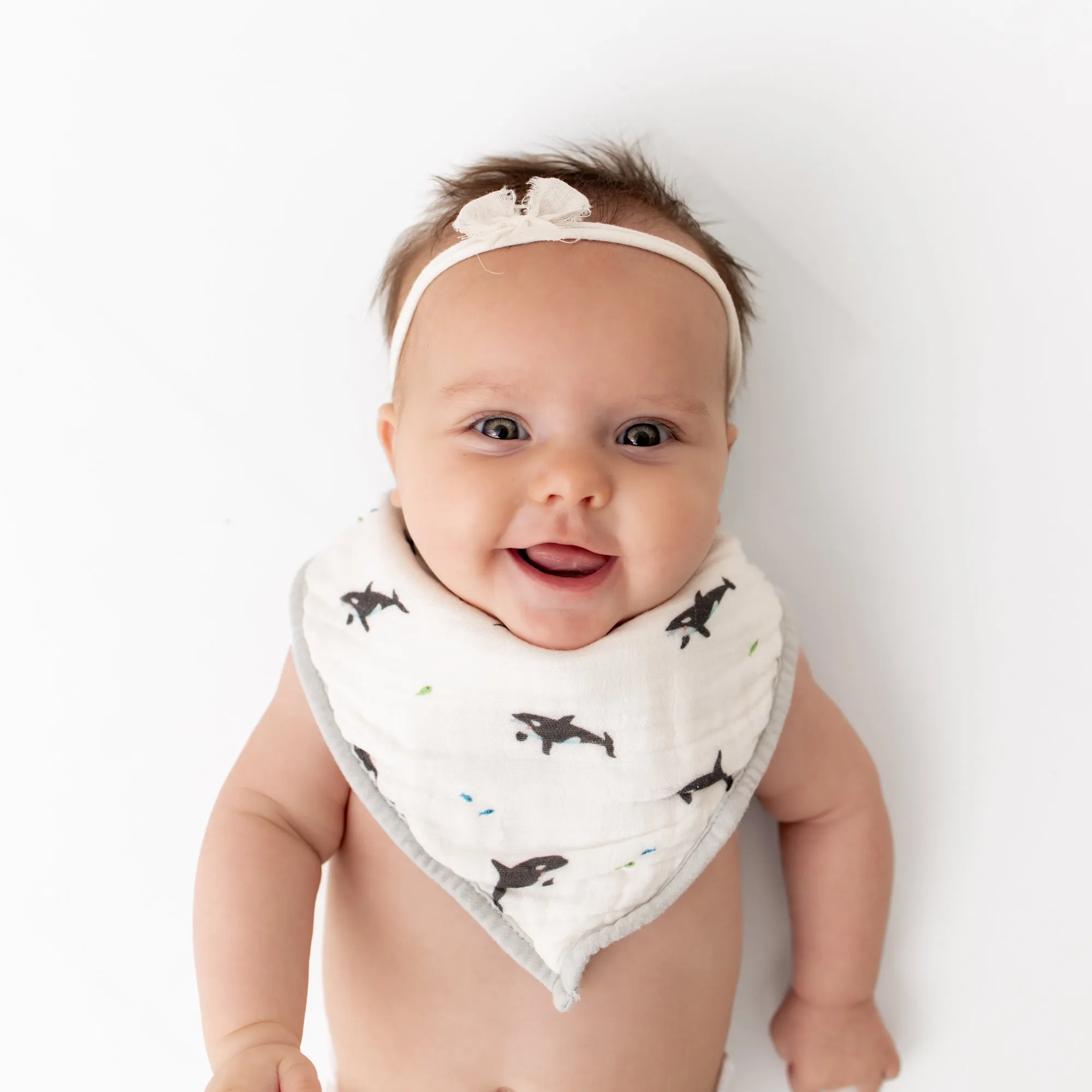 Orca & Blue Dash Bib Set