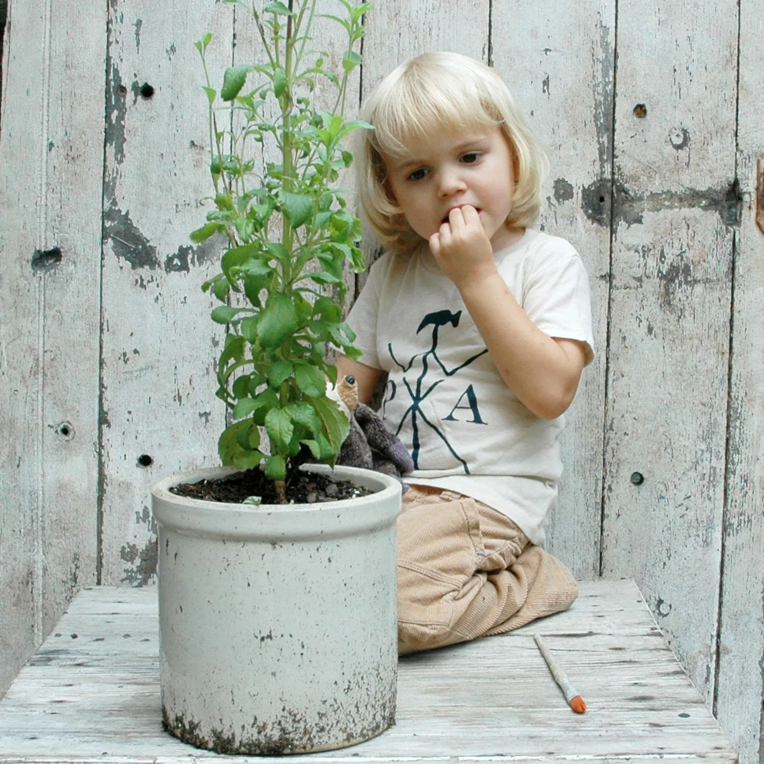 Organic Cotton T-Shirt for Children and Babies