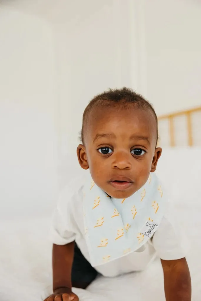 Vance Bandana Bibs